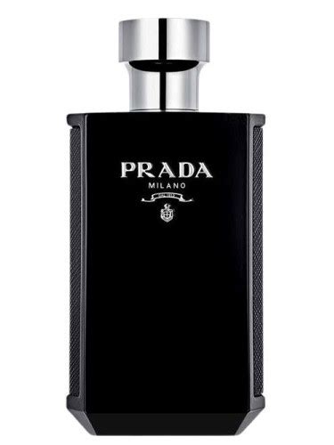 prada uomo arancioni|prada intense cologne.